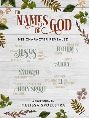cover image of The Names of God--Women's Bible Study Participant Workbook